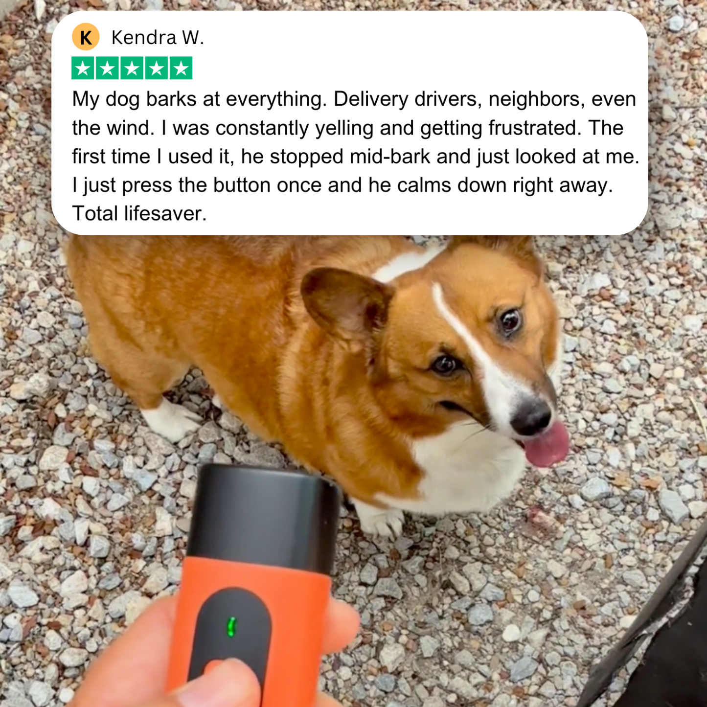 🐕Professional Sonic Emitters Dog Training Tool