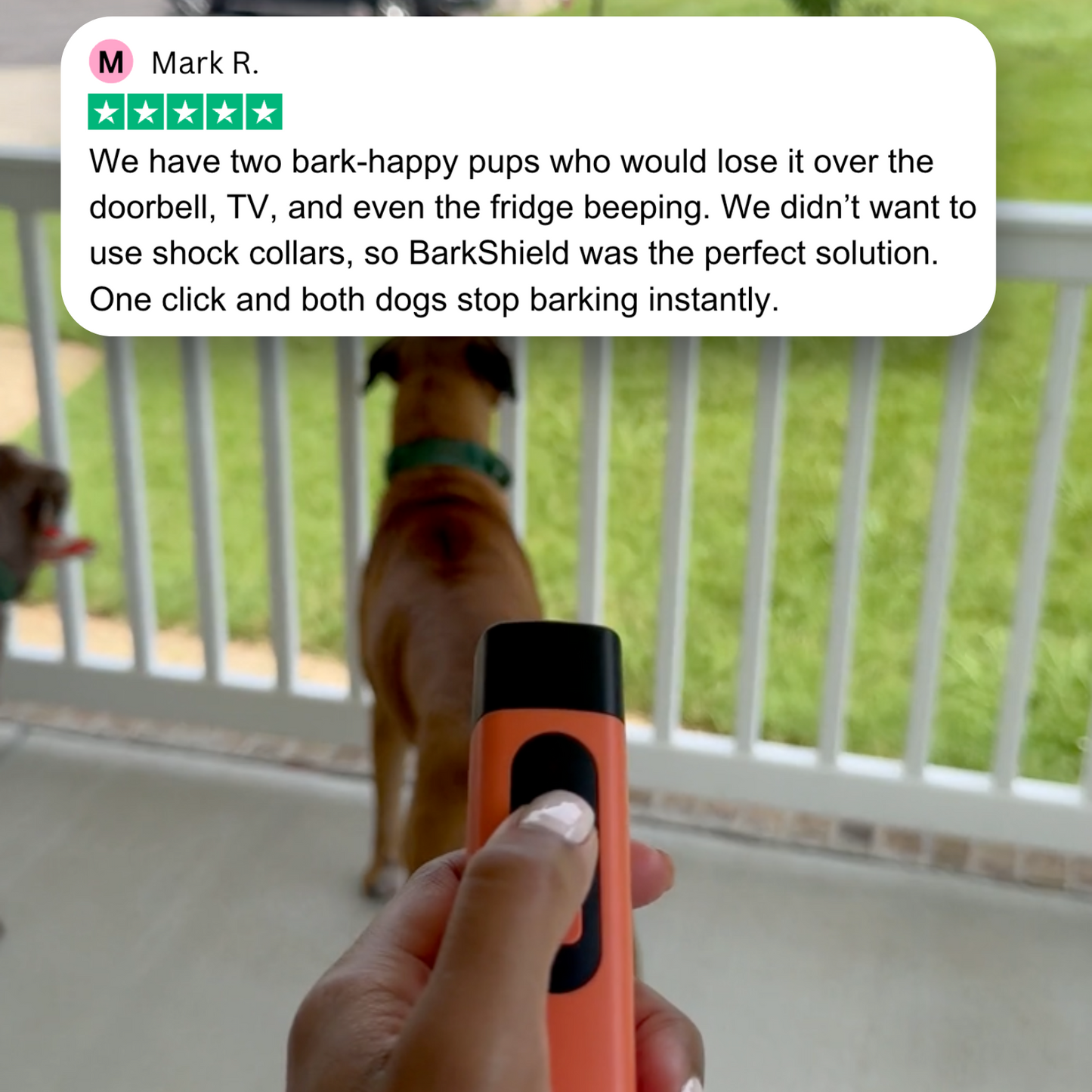 🐕Professional Sonic Emitters Dog Training Tool