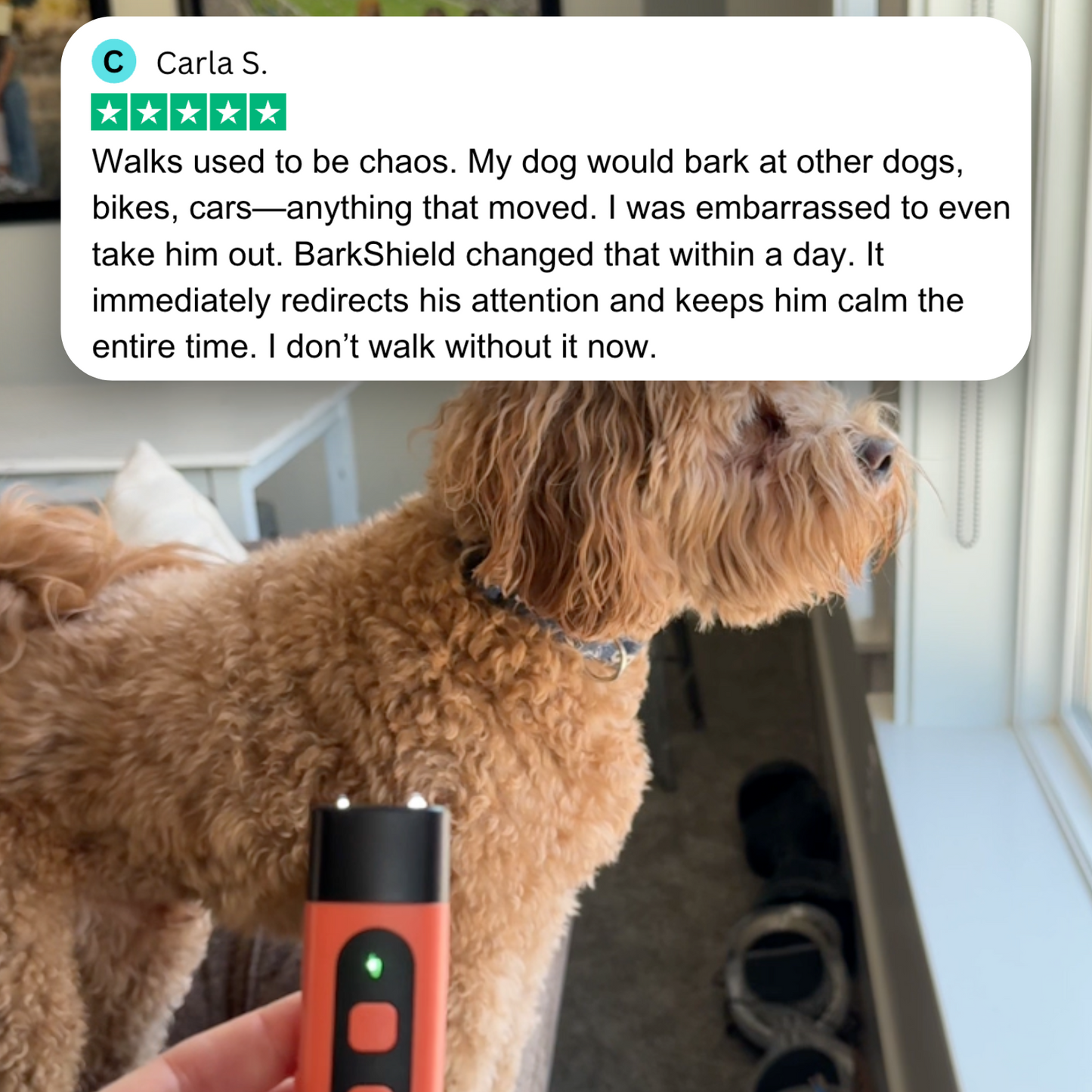 🐕Professional Sonic Emitters Dog Training Tool